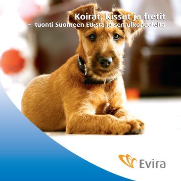 Koirat, kissat ja fretit - Evira