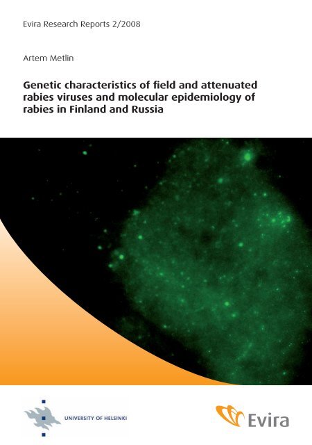 Genetic characteristics of field and attenuated rabies viruses ... - Evira