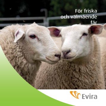 För friska och välmående får - Evira