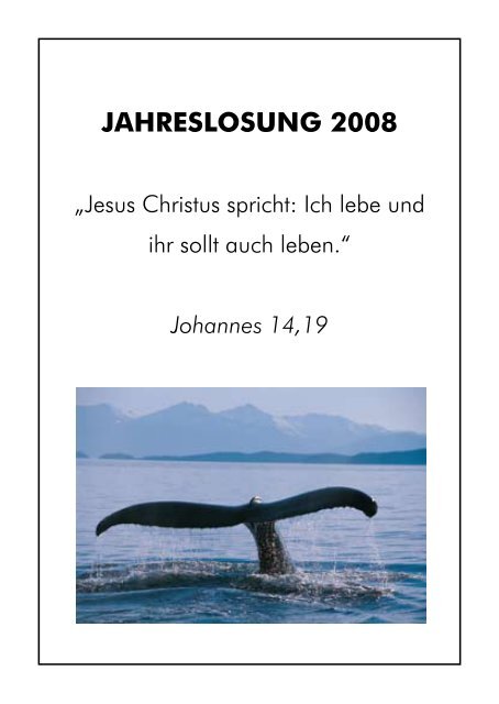 FREIZEITEN 2008 - Evangelische Jugend Mecklenburg