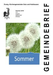 Gemeindebrief Sommer 2010 - Evangelische Kirchengemeinde ...