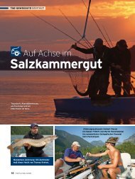 Salzkammergut - A.S.O.