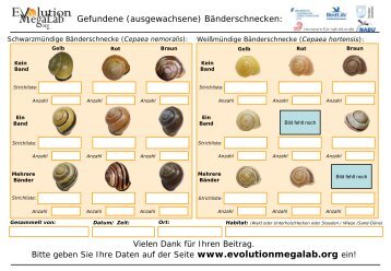 Erfassungsbogen - Evolution MegaLab