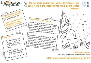 Actividades com os caracóis - Evolution MegaLab