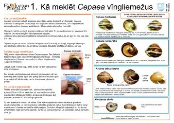 1. Kā meklēt Cepaea vīngliemežus - Evolution MegaLab