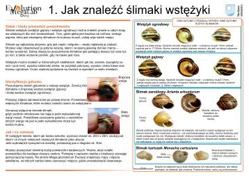 1. Jak znaleźć ślimaki wstężyki - Evolution MegaLab