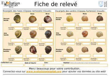 Fiche de relevé - Evolution MegaLab