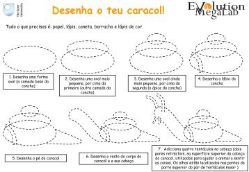 Desenhar e colorir um caracol - Evolution MegaLab