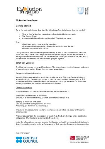 ks1 snail hunt teacher notes evolution megalab