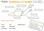 Enwch rannau'r malwod - Evolution MegaLab