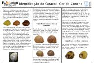 Identificação de caracóis - Evolution MegaLab