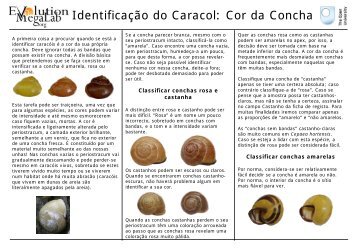 Identificação de caracóis - Evolution MegaLab