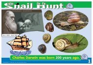 KS1 Snail Hunt Primary UPD8 Activity - Evolution MegaLab