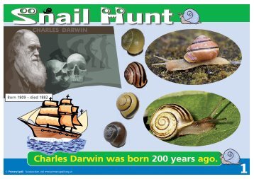 KS1 Snail Hunt Primary UPD8 Activity - Evolution MegaLab