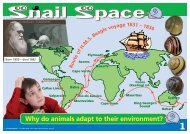 KS2 Snail Space Primary UPD8 Activity - Evolution MegaLab