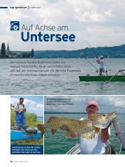 Untersee - A.S.O.