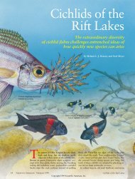 Cichlids of the Rift Lakes - Scientific American Digital