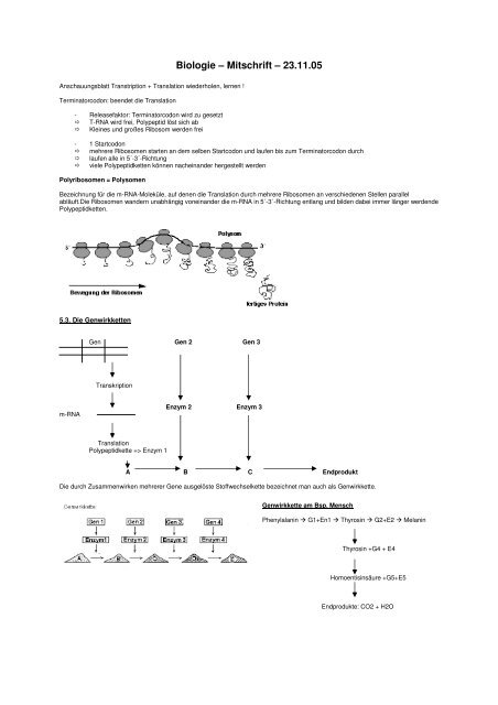 Mitschrift 23.11.05 - Evolutionsfehler.de