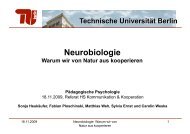 Neurobiologie