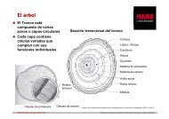 Haro - Presentacion tecnica Madera.pdf - Exclusivas MV