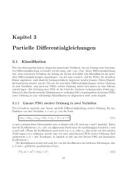 Kapitel 3 Partielle Differentialgleichungen