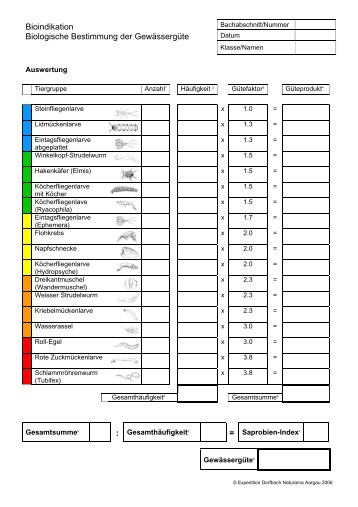 Bioindikation Biologische Bestimmung der Gewässergüte