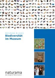 Biodiversität im Museum.indd - Expedition Biodiversität