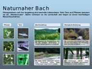 Naturnaher Bach - IG-Landschaft.ch
