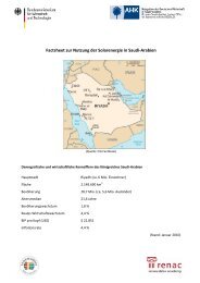 Factsheet zur Nutzung der Solarenergie in Saudi-Arabien