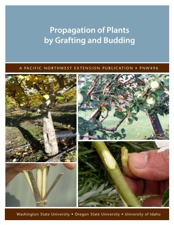 Propagation of Plants by Grafting and Budding - Colorado State ...