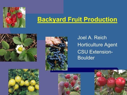 Backyard Fruit Production