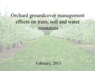 Orchard Groundcover Management - Amaya Atucha