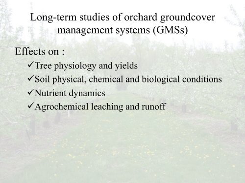 Orchard Groundcover Management - Amaya Atucha