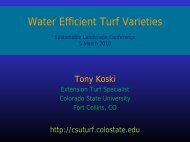 Water Efficient Turf.. - Colorado State University Extension