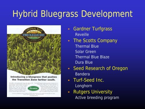 Water Efficient Turf.. - Colorado State University Extension