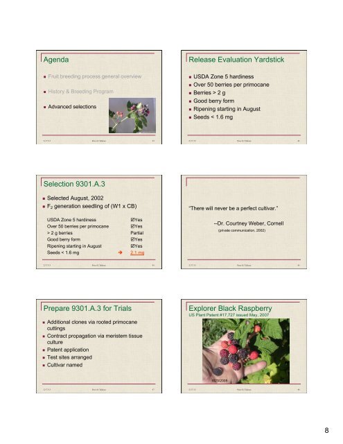 Primocane-Fruiting Black Raspberry Breeding Program - Pete Tallman