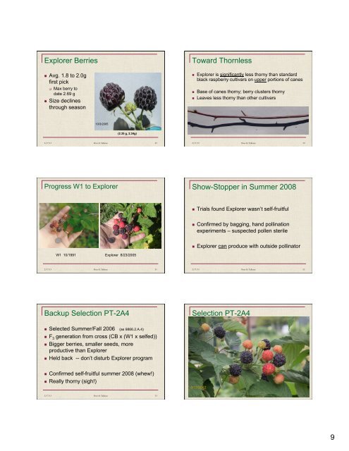 Primocane-Fruiting Black Raspberry Breeding Program - Pete Tallman