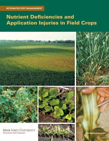 Nutrient Deficiencies and Application Injuries in Field Crops, IPM 42