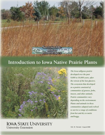 Introduction to Iowa Native Prairie Plants - Iowa State University ...