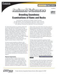 Breeding Soundness Examinations of Rams and Bucks - Purdue ...