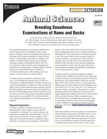 Breeding Soundness Examinations of Rams and Bucks - Purdue ...