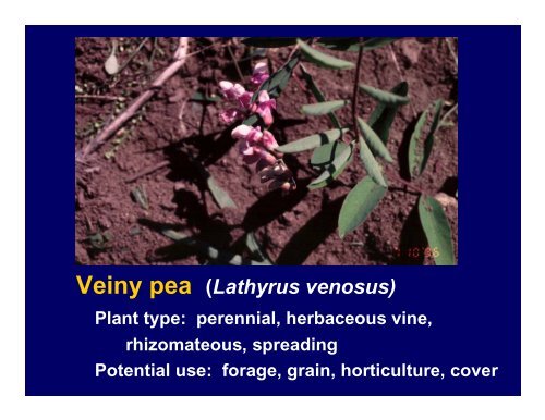 Native Legumes - University of Minnesota Extension Service