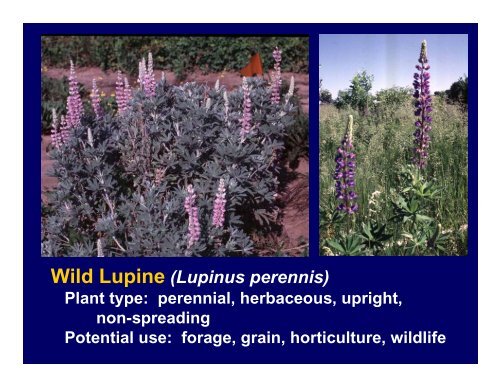 Native Legumes - University of Minnesota Extension Service