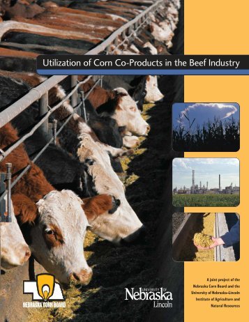 Utilization of Corn Co-Products in the Beef Industry - UNL Water ...