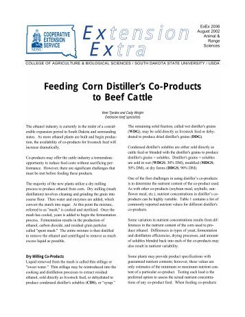 Feeding Corn Distiller's Co-Products to Beef Cattle - South Dakota ...