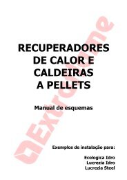 recuperadores de calor e caldeiras a pellets - La Nordica-Extraflame