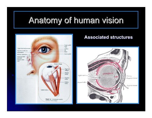 CLINICAL OPHTHALMOLOGY