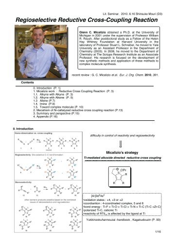 Regioselective Reductive Cross-Coupling Reaction