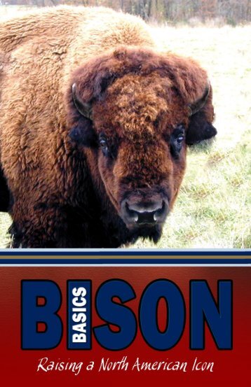 Bison Basics - Raising a North American Icon