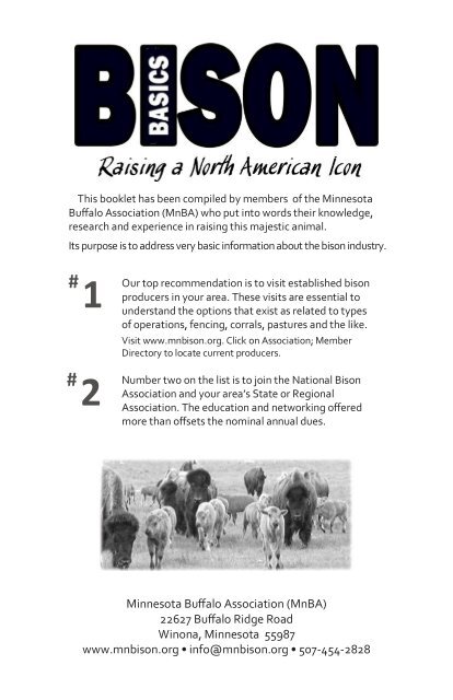 Bison Basics - Raising a North American Icon